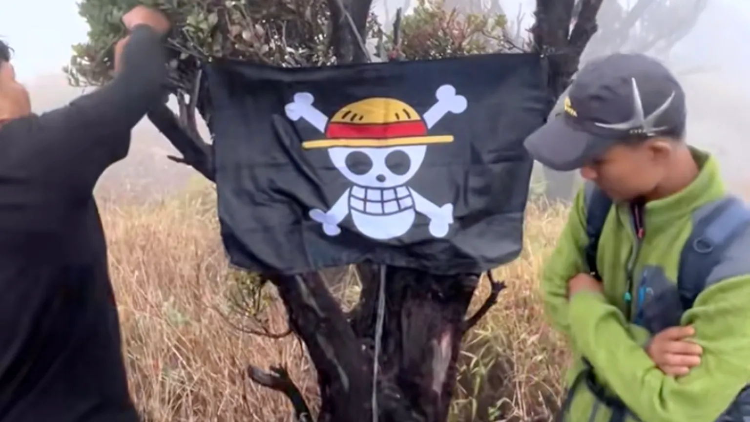 How the One Piece Jolly Roger Became a Symbol of Youth Protest in Indonesia