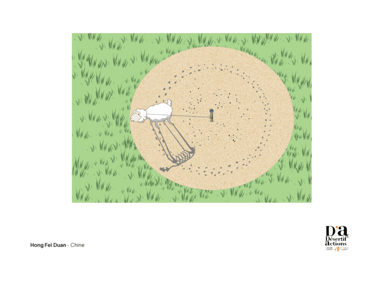 Hong-Fei-Duan_DA26-768x573-1 The Power of Cartoons in Highlighting Pastoralism: Désertif'actions 2026 Results Announced