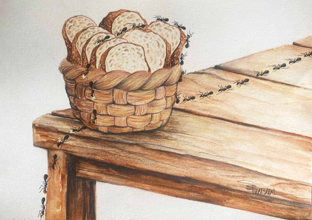 8-2 Winners Announced for the 10th International Alanya Cartoon Competition!