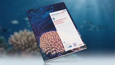 Diverse marine life and coral reefs representing World Ocean Review 9 report
