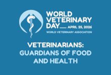 Minimalist illustration of a veterinarian as a guardian of food and animal health with a stethoscope and wheat.