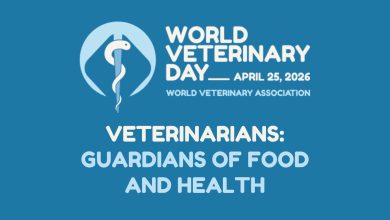 Minimalist illustration of a veterinarian as a guardian of food and animal health with a stethoscope and wheat.