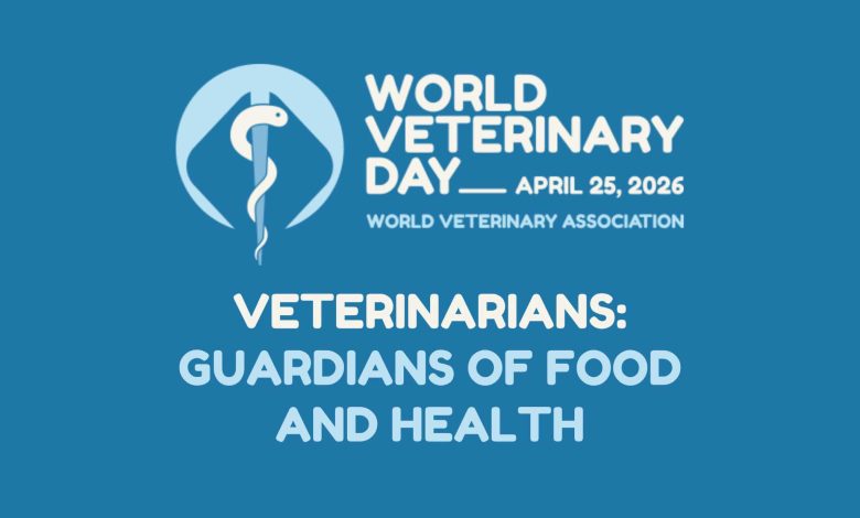 Minimalist illustration of a veterinarian as a guardian of food and animal health with a stethoscope and wheat.