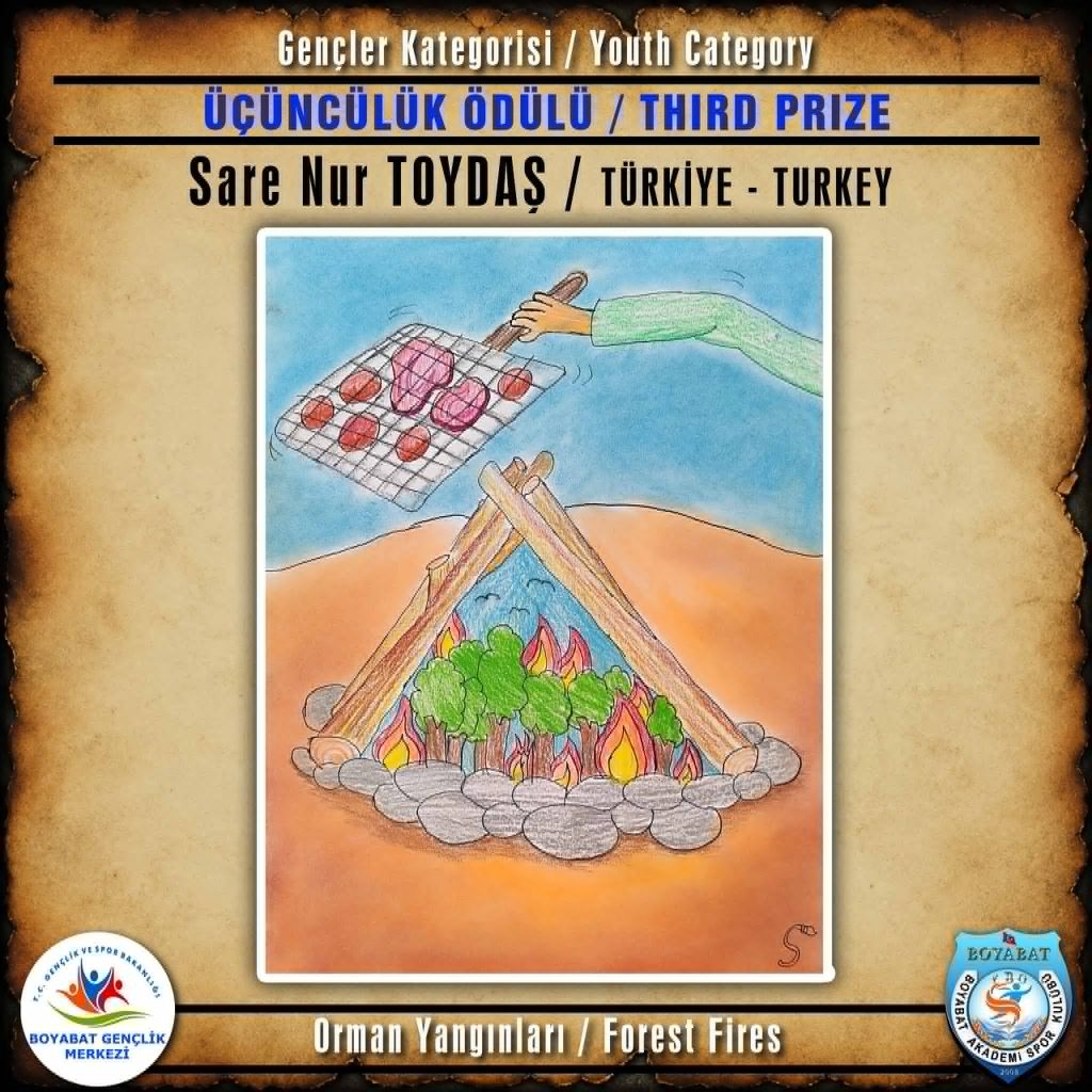 3-4-1024x1024 2nd International "Forest Fires" Cartoon Competition Winners Announced: Art for a Greener Future