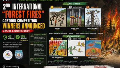 Winning cartoon of the 2nd International Forest Fires Competition by Bilig Ba China