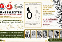 Poster of the 15th International Cartoon Competition 2026 in Kyrenia, Cyprus featuring participation statistics.
