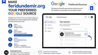 Google Preferred Sources guide showing how to add feridundemir.org as a preferred source in Google Search.